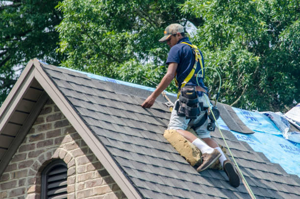 Best Roof Gutter Cleaning  in Ottumwa, IA